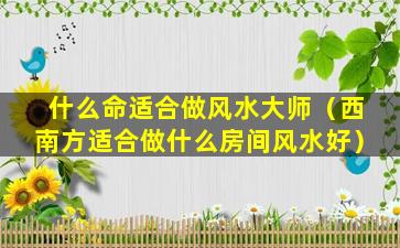 什么命适合做风水大师（西南方适合做什么房间风水好）