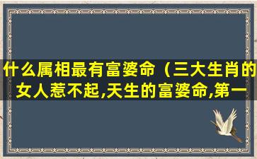 什么属相最有富婆命（三大生肖的女人惹不起,天生的富婆命,第一名很聪明）