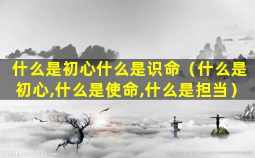 什么是初心什么是识命（什么是初心,什么是使命,什么是担当）