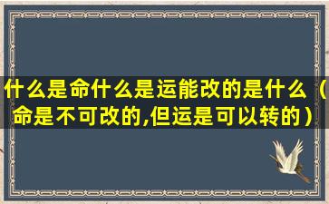 什么是命什么是运能改的是什么（命是不可改的,但运是可以转的）