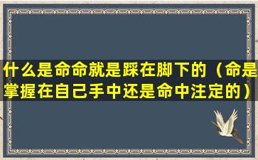 什么是命命就是踩在脚下的（命是掌握在自己手中还是命中注定的）