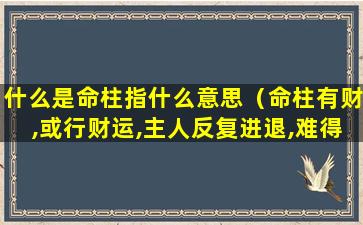 什么是命柱指什么意思（命柱有财,或行财运,主人反复进退,难得富贵）