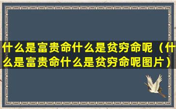 什么是富贵命什么是贫穷命呢（什么是富贵命什么是贫穷命呢图片）