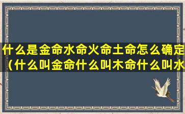 什么是金命水命火命土命怎么确定（什么叫金命什么叫木命什么叫水命什么叫土命什么叫火命）