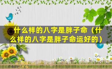 什么样的八字是胖子命（什么样的八字是胖子命运好的）