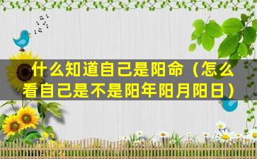 什么知道自己是阳命（怎么看自己是不是阳年阳月阳日）