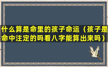 什么算是命里的孩子命运（孩子是命中注定的吗看八字能算出来吗）