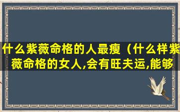 什么紫薇命格的人最瘦（什么样紫薇命格的女人,会有旺夫运,能够夫荣子贵）