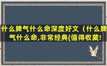 什么脾气什么命深度好文（什么脾气什么命,非常经典(值得收藏!)）