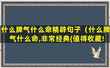 什么脾气什么命精辟句子（什么脾气什么命,非常经典(值得收藏!)）