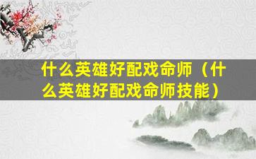 什么英雄好配戏命师（什么英雄好配戏命师技能）