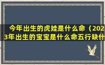 今年出生的虎娃是什么命（2023年出生的宝宝是什么命五行缺什么）