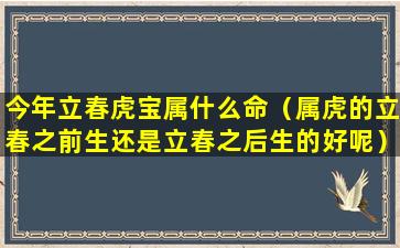 今年立春虎宝属什么命（属虎的立春之前生还是立春之后生的好呢）