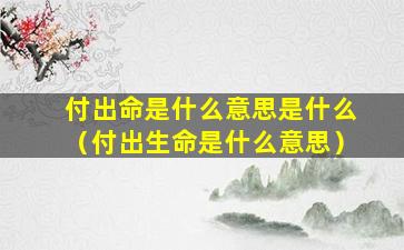 付出命是什么意思是什么（付出生命是什么意思）