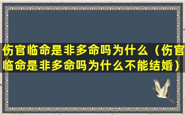 伤官临命是非多命吗为什么（伤官临命是非多命吗为什么不能结婚）