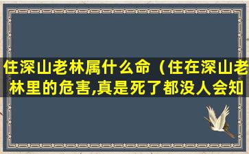 住深山老林属什么命（住在深山老林里的危害,真是死了都没人会知道）