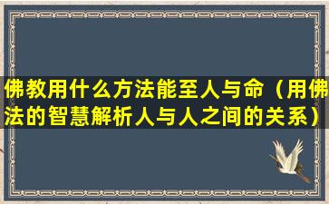 佛教用什么方法能至人与命（用佛法的智慧解析人与人之间的关系）