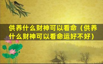 供养什么财神可以看命（供养什么财神可以看命运好不好）