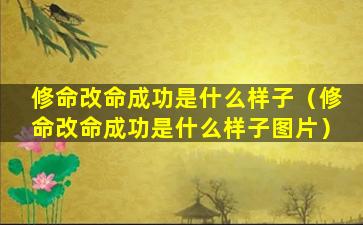 修命改命成功是什么样子（修命改命成功是什么样子图片）