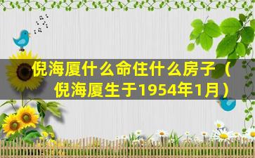 倪海厦什么命住什么房子（倪海厦生于1954年1月）