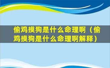 偷鸡摸狗是什么命理啊（偷鸡摸狗是什么命理啊解释）