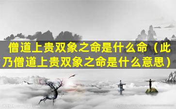 僧道上贵双象之命是什么命（此乃僧道上贵双象之命是什么意思）