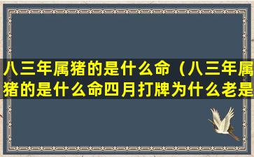 八三年属猪的是什么命（八三年属猪的是什么命四月打牌为什么老是输）