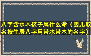 八字含水木孩子属什么命（婴儿取名按生辰八字用带水带木的名字）