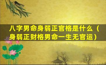 八字男命身弱正官格是什么（身弱正财格男命一生无官运）