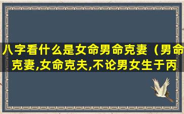 八字看什么是女命男命克妻（男命克妻,女命克夫,不论男女生于丙午,容易受伤,或致残）