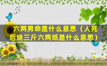 六两男命是什么意思（人死后烧三斤六两纸是什么意思）