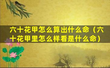 六十花甲怎么算出什么命（六十花甲里怎么样看是什么命）