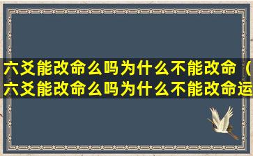 六爻能改命么吗为什么不能改命（六爻能改命么吗为什么不能改命运）