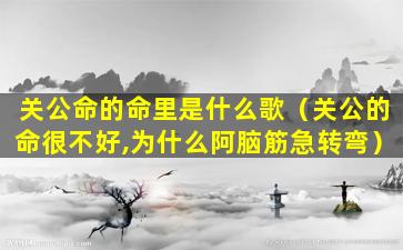 关公命的命里是什么歌（关公的命很不好,为什么阿脑筋急转弯）