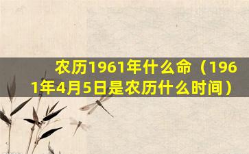 农历1961年什么命（1961年4月5日是农历什么时间）