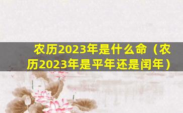 农历2023年是什么命（农历2023年是平年还是闰年）