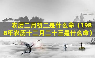 农历二月初二是什么命（1988年农历十二月二十三是什么命）