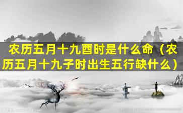 农历五月十九酉时是什么命（农历五月十九子时出生五行缺什么）