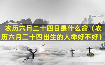 农历六月二十四日是什么命（农历六月二十四出生的人命好不好）