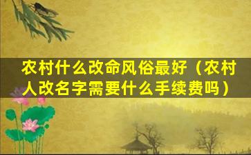 农村什么改命风俗最好（农村人改名字需要什么手续费吗）