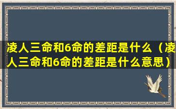 凌人三命和6命的差距是什么（凌人三命和6命的差距是什么意思）