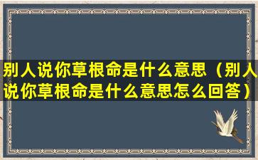 别人说你草根命是什么意思（别人说你草根命是什么意思怎么回答）