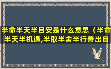 半命半天半自安是什么意思（半命半天半机遇,半取半舍半行善出自哪里）