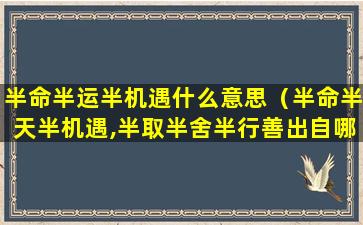 半命半运半机遇什么意思（半命半天半机遇,半取半舍半行善出自哪里）