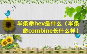 半条命hev是什么（半条命combine长什么样）