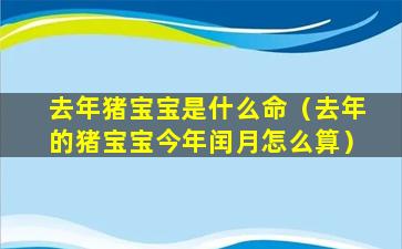 去年猪宝宝是什么命（去年的猪宝宝今年闰月怎么算）