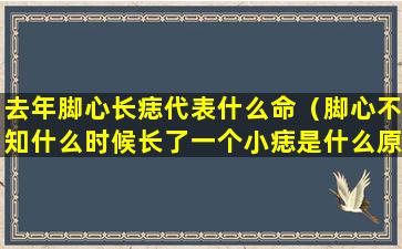 去年脚心长痣代表什么命（脚心不知什么时候长了一个小痣是什么原因）