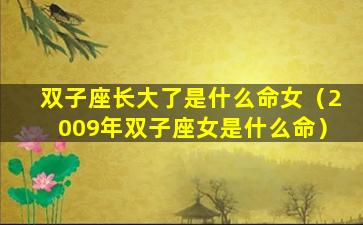 双子座长大了是什么命女（2009年双子座女是什么命）