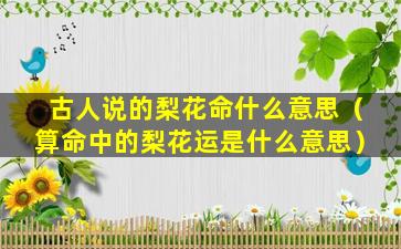 古人说的梨花命什么意思（算命中的梨花运是什么意思）