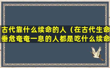 古代靠什么续命的人（在古代生命垂危奄奄一息的人都是吃什么续命的）